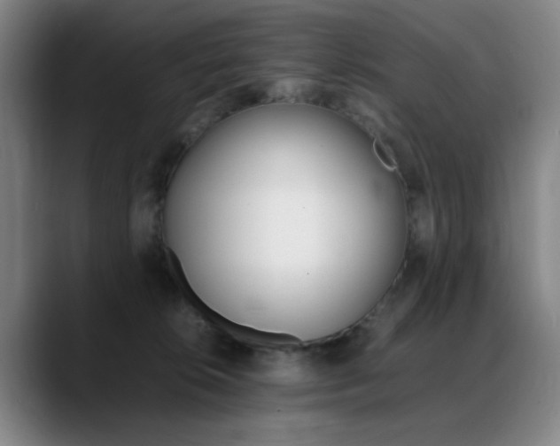 X0000089360276200706150829