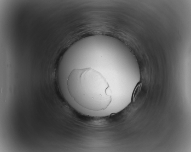 X0000089360278200706150829