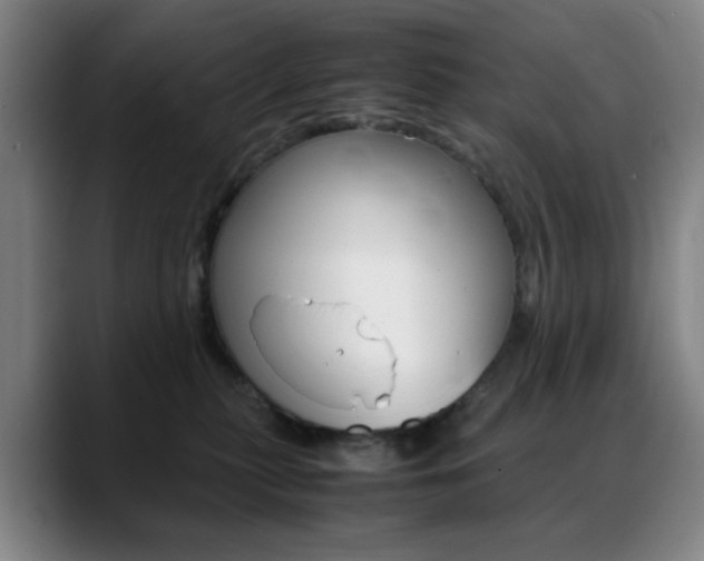 X0000089360279200706150829