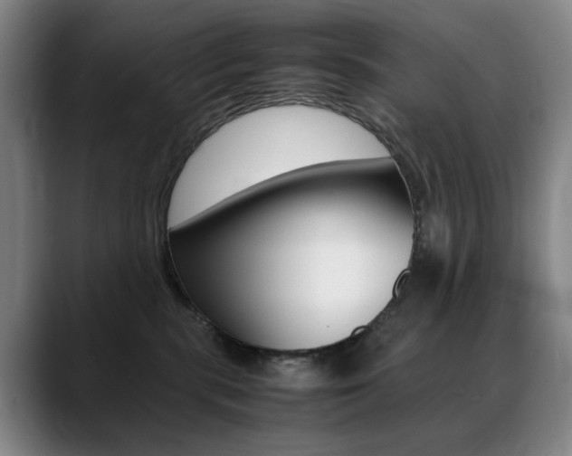 X0000089360283200706150829