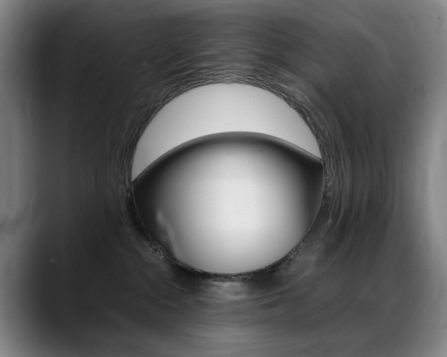X0000089360284200706150829