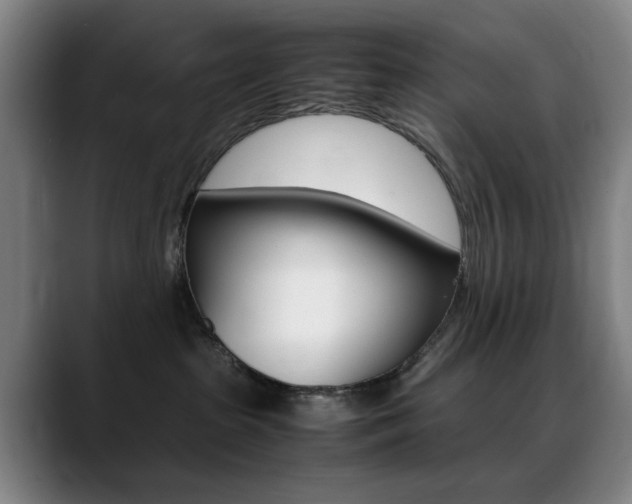 X0000089360285200706150829