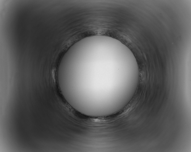 X0000089360286200706150829