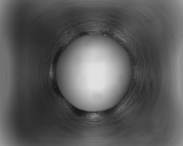 X0000089360287200706150829