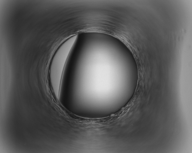 X0000089360289200706150829