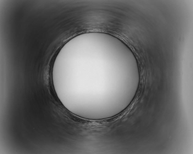 X0000089360290200706150829