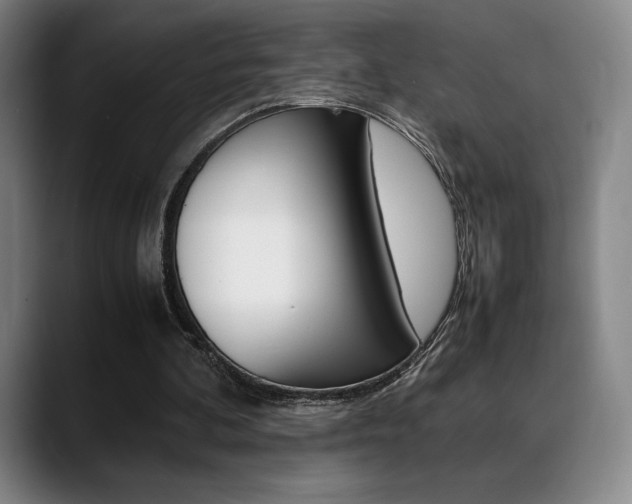 X0000089360292200706150829