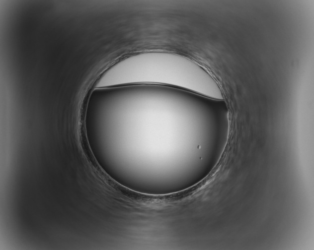 X0000089360293200706150829