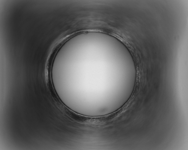 X0000089360294200706150829