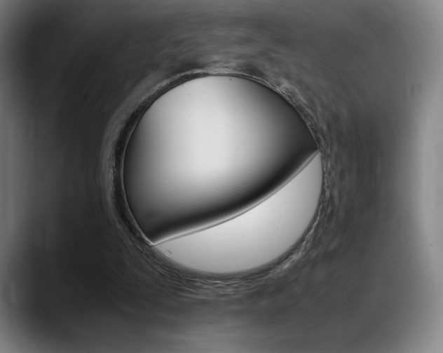 X0000089360295200706150829