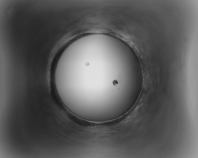 X0000089360296200706150828