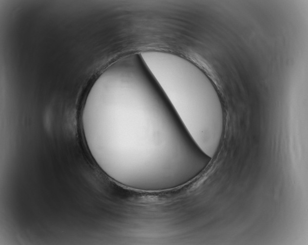 X0000089360298200706150828