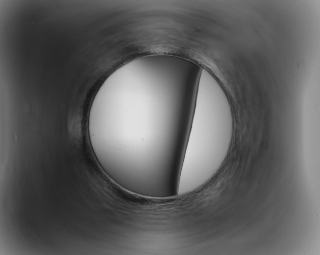 X0000089360299200706150828