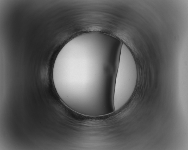 X0000089360300200706150828