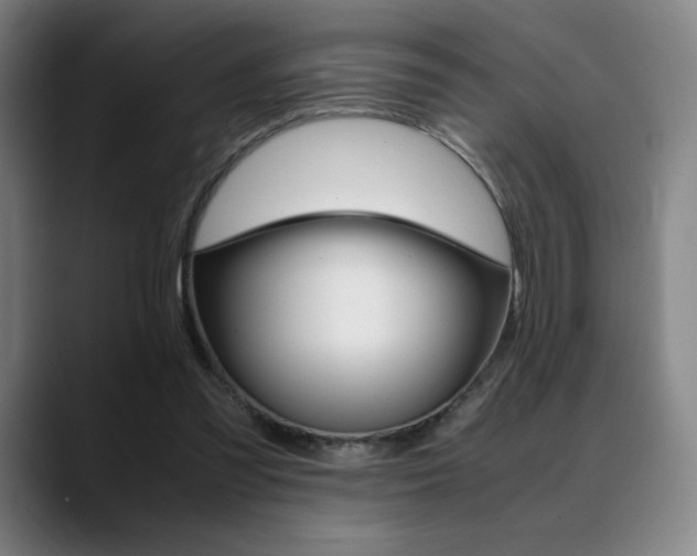 X0000089360301200706150828