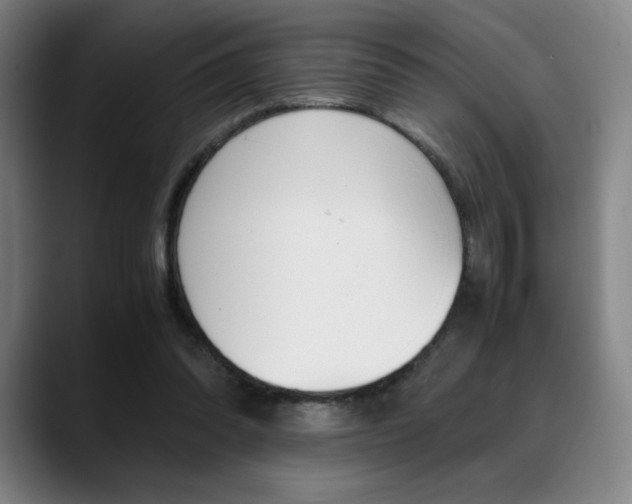 X0000089360302200706150828