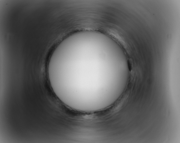 X0000089360306200706150828
