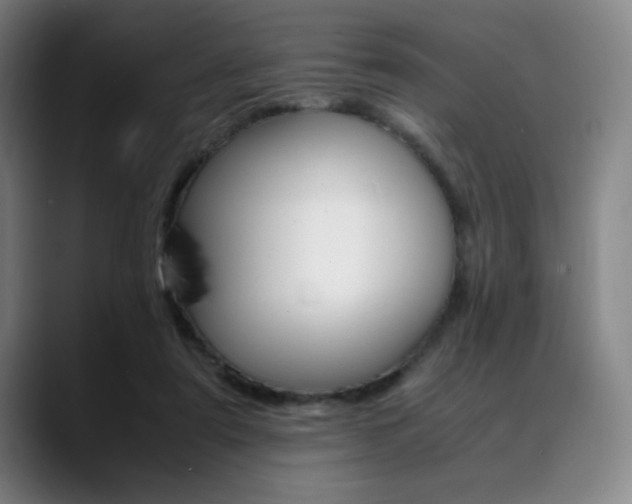 X0000089360307200706150828