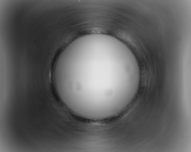 X0000089360310200706150828