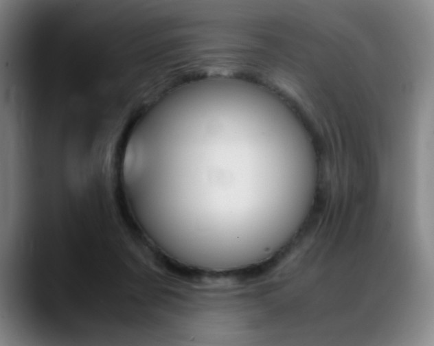 X0000089360311200706150828