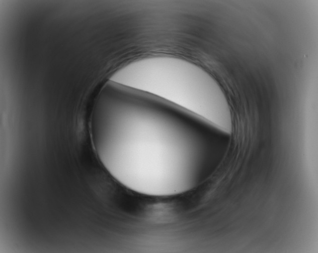 X0000089360312200706150828