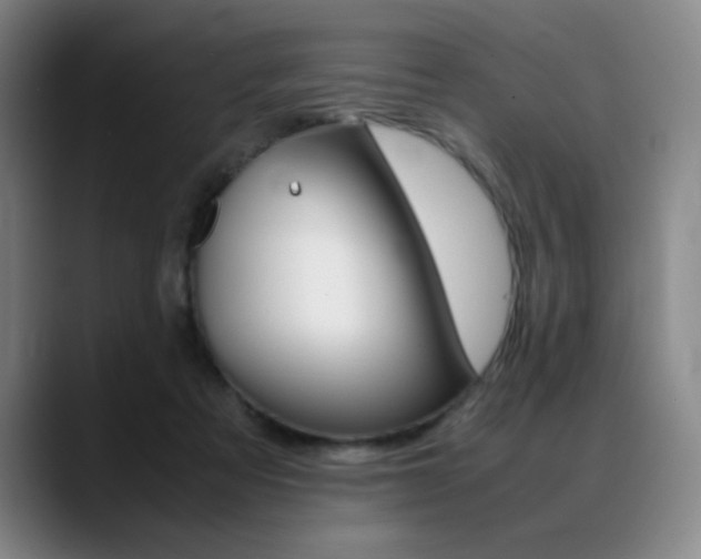 X0000089360313200706150828