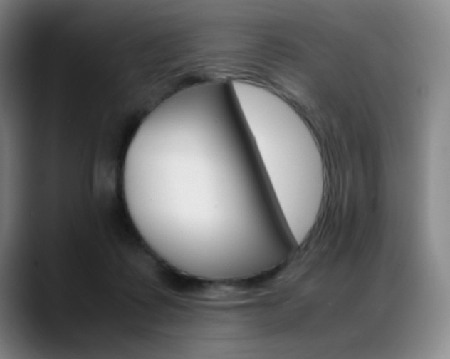 X0000089360315200706150828