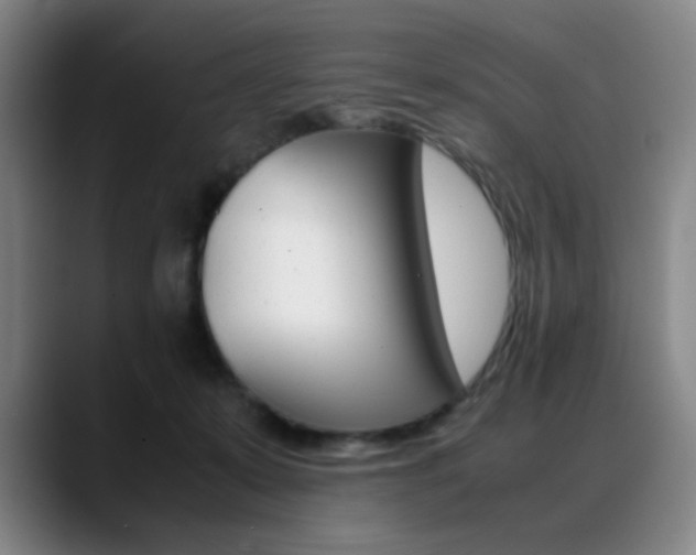X0000089360319200706150828