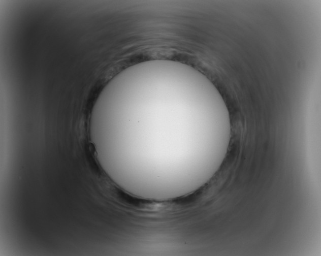 X0000089360323200706150828