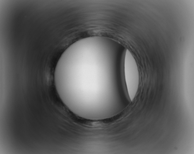 X0000089360324200706150828