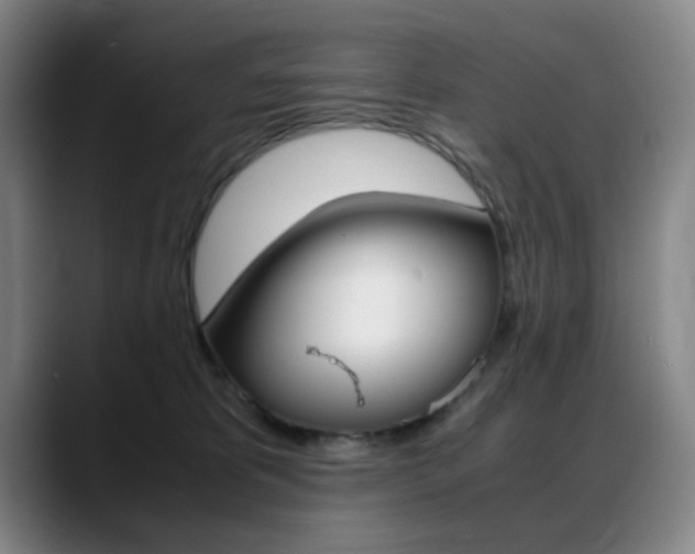 X0000089360325200706150828