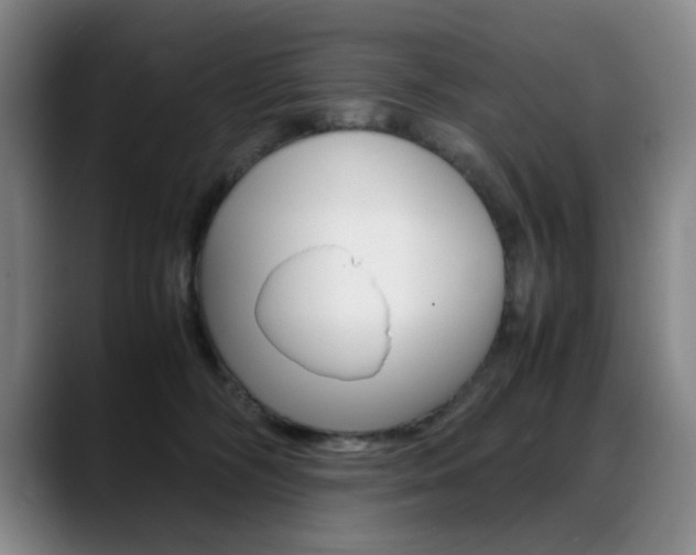 X0000089360326200706150828