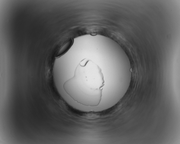 X0000089360327200706150828
