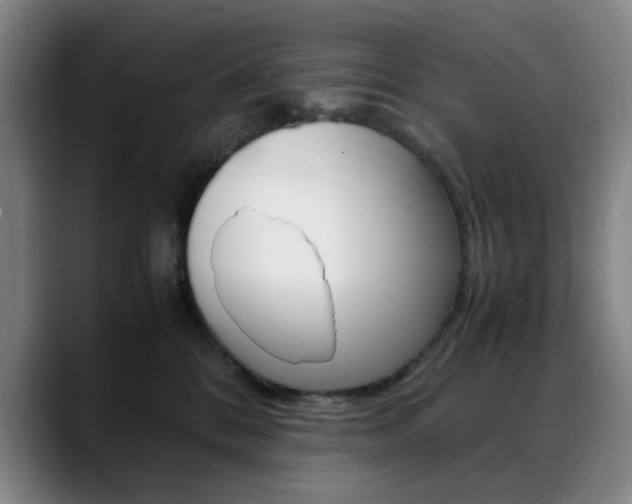 X0000089360328200706150828
