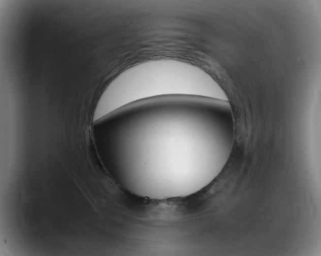 X0000089360329200706150828