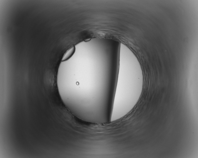 X0000089360331200706150828