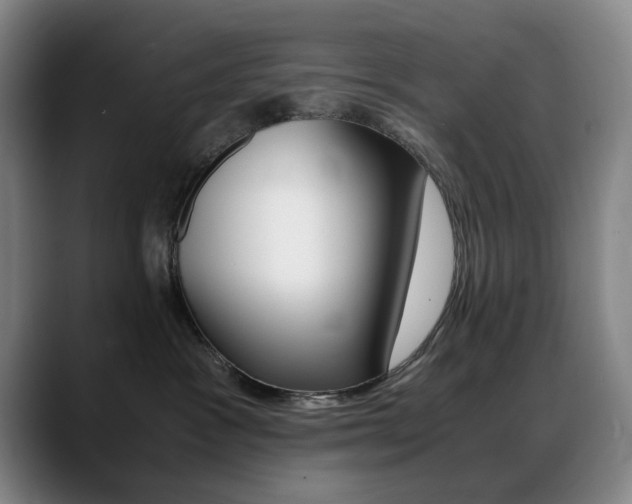 X0000089360333200706150828