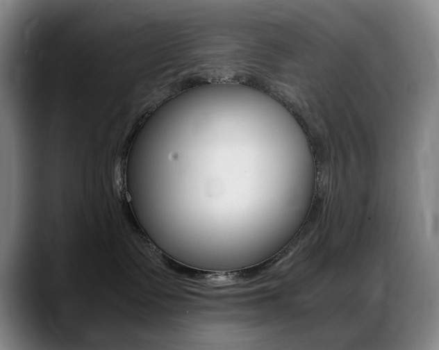 X0000089360335200706150828
