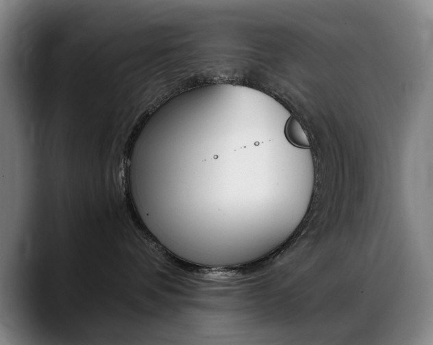 X0000089360336200706150828
