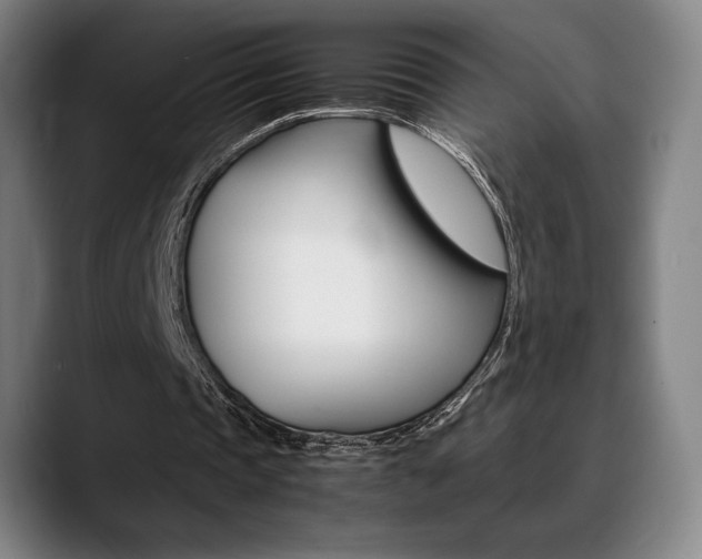 X0000089360337200706150827