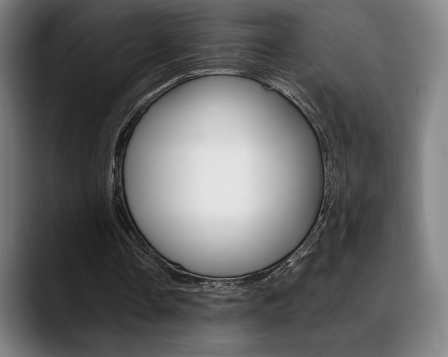 X0000089360338200706150827