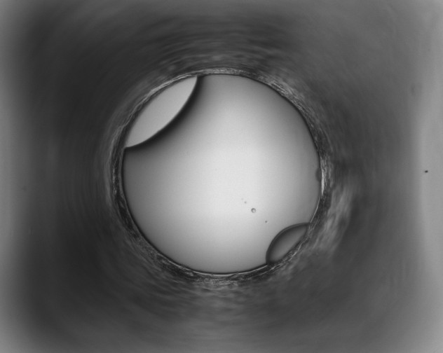 X0000089360339200706150827