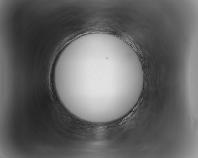 X0000089360340200706150827