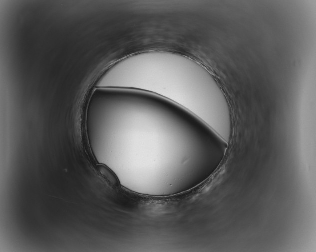 X0000089360341200706150827