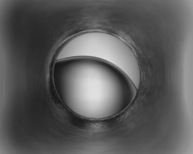X0000089360344200706150827