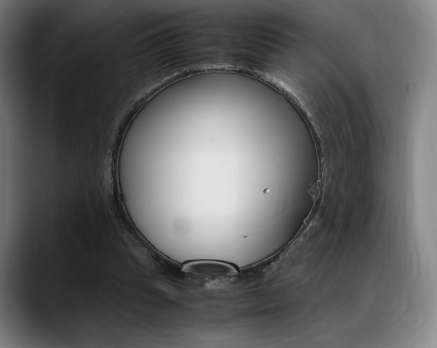 X0000089360345200706150827
