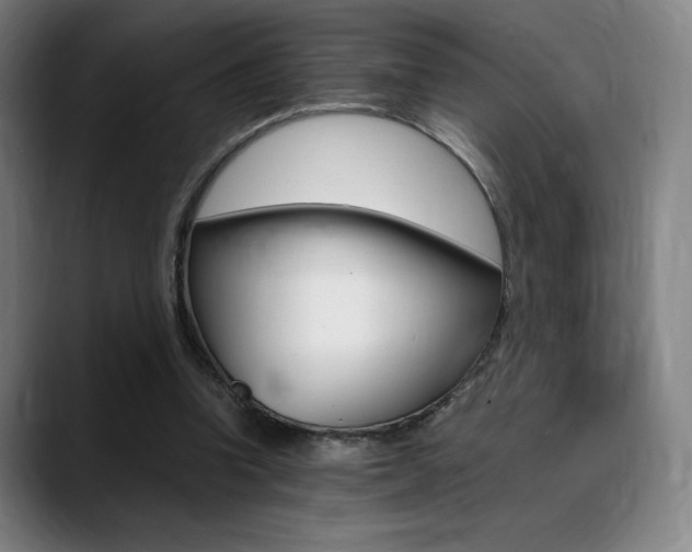 X0000089360346200706150827