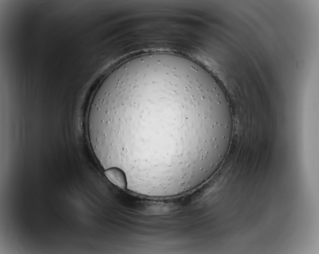 X0000089360347200706150827
