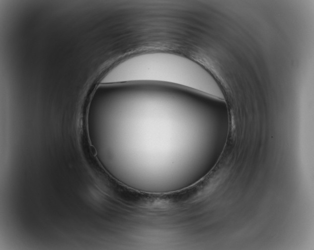 X0000089360348200706150827