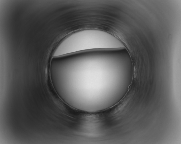 X0000089360349200706150828